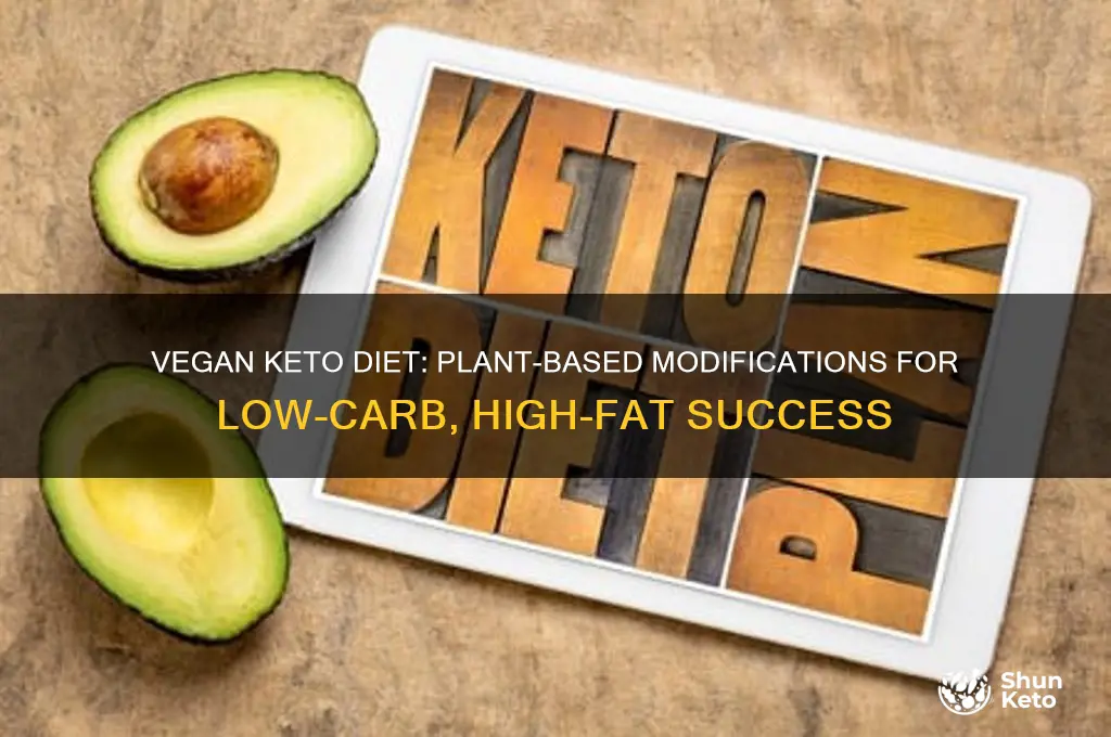 can the keto diet be modified for vegans