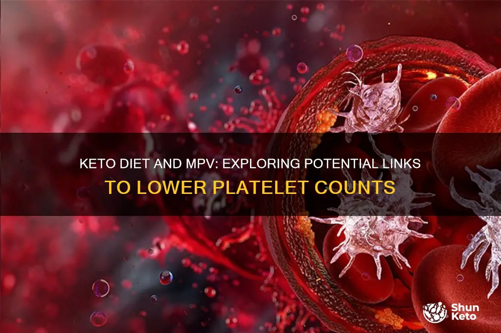 can the keto diet cause decrease in mpv