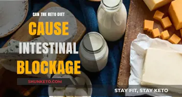 Keto Diet and Intestinal Blockage: Unraveling the Potential Risks