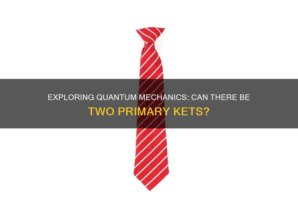 can there be 2 primary kets