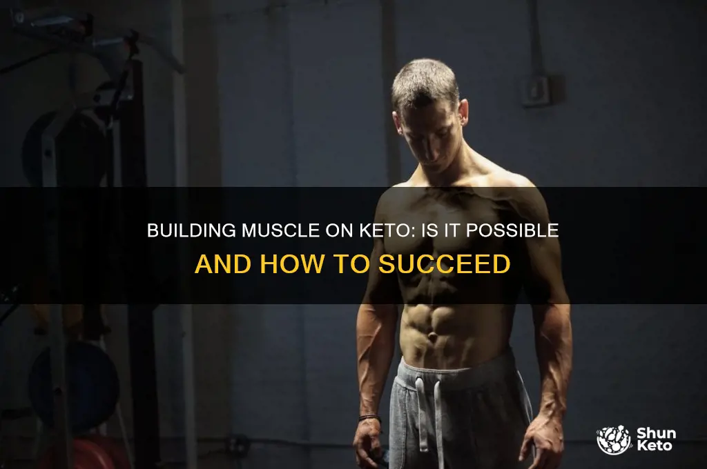 can u build muscle on keto