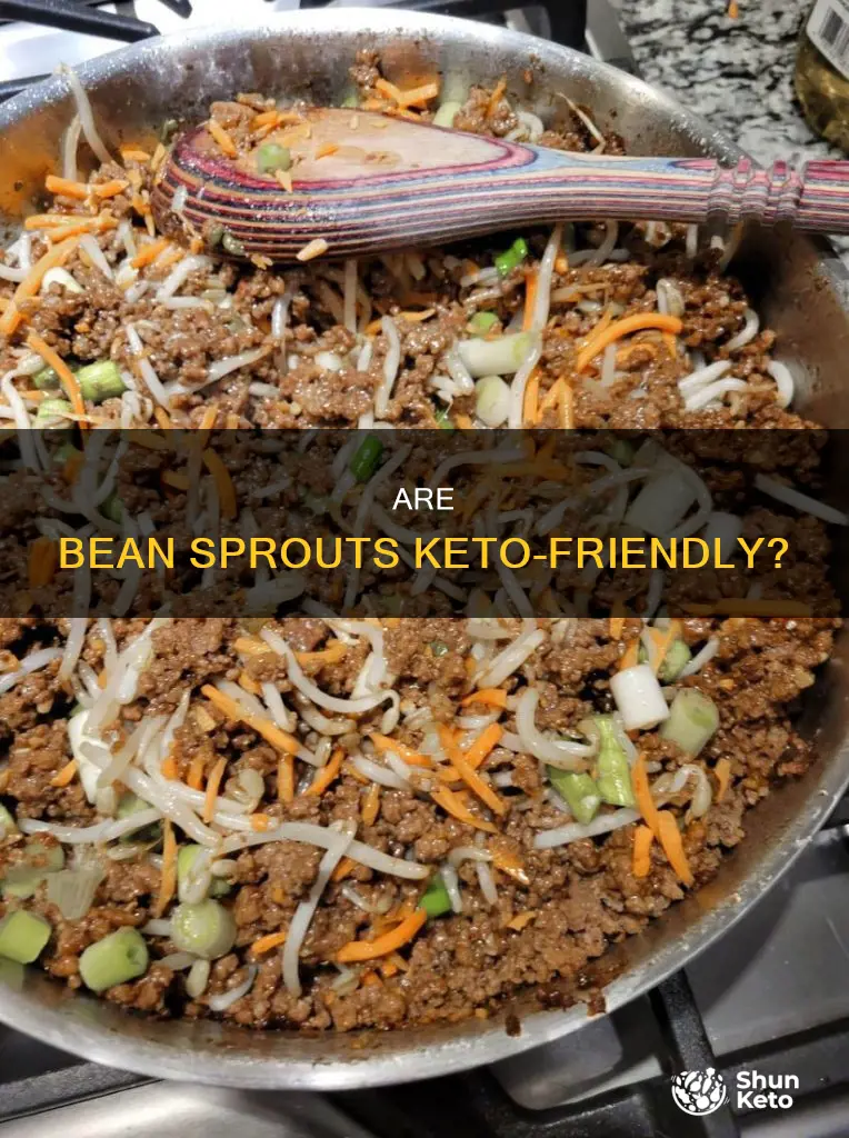 can u eat bean sprouts on keto diet