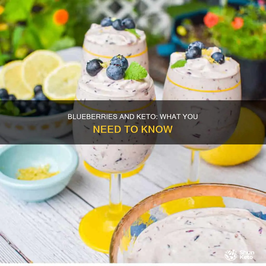 can u eat blueberries on keto