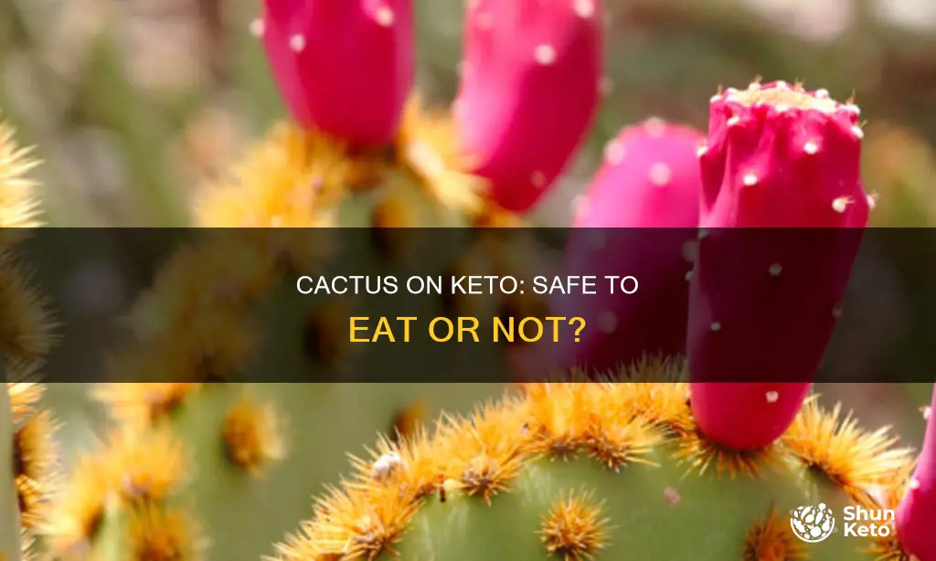 can u eat cactus on keto