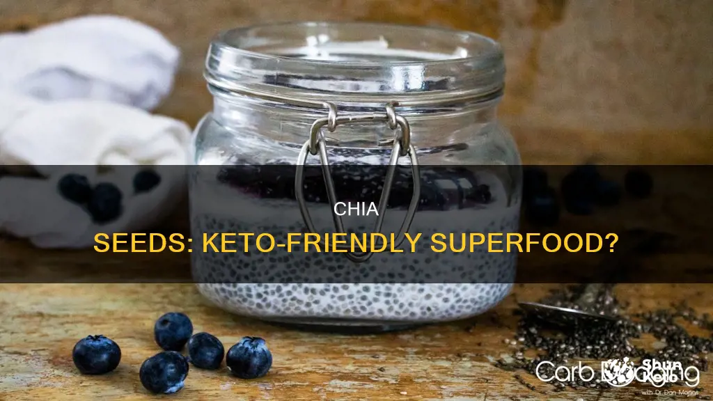 can u eat chia seeds on keto