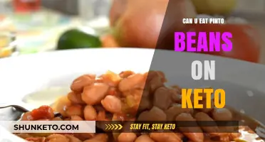 Pinto Beans on Keto: What You Need to Know