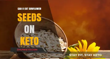 Sunflower Seeds: Keto-Friendly Snack or Not?