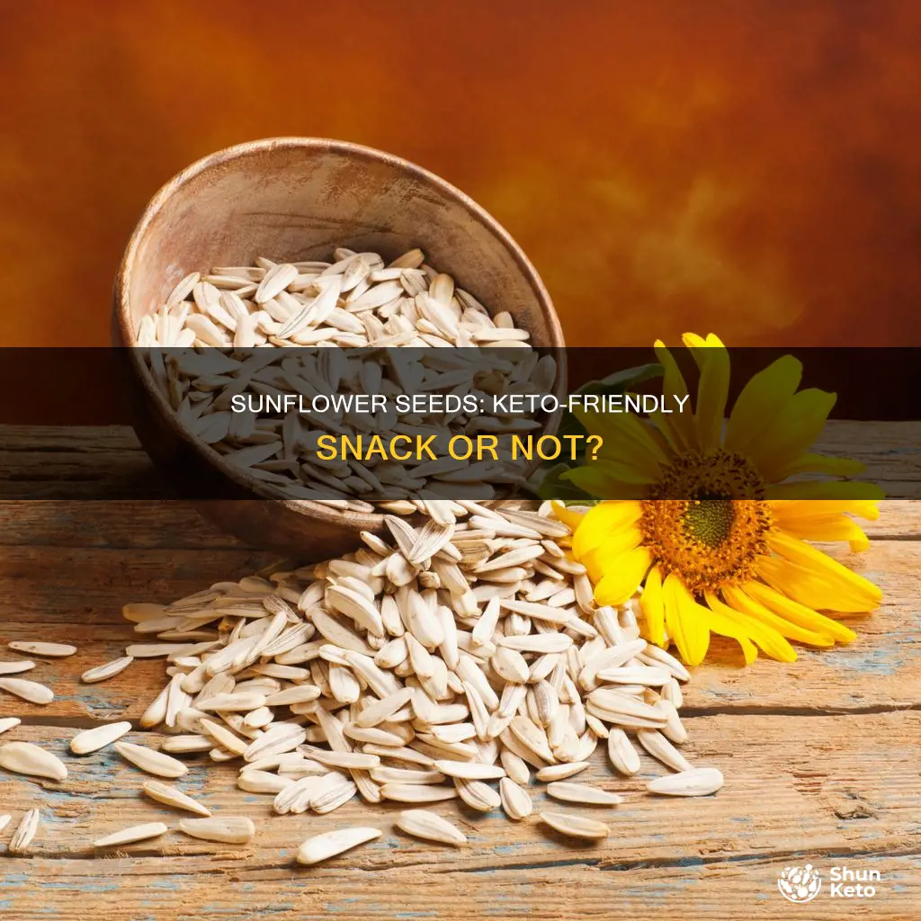 can u eat sunflower seeds on keto