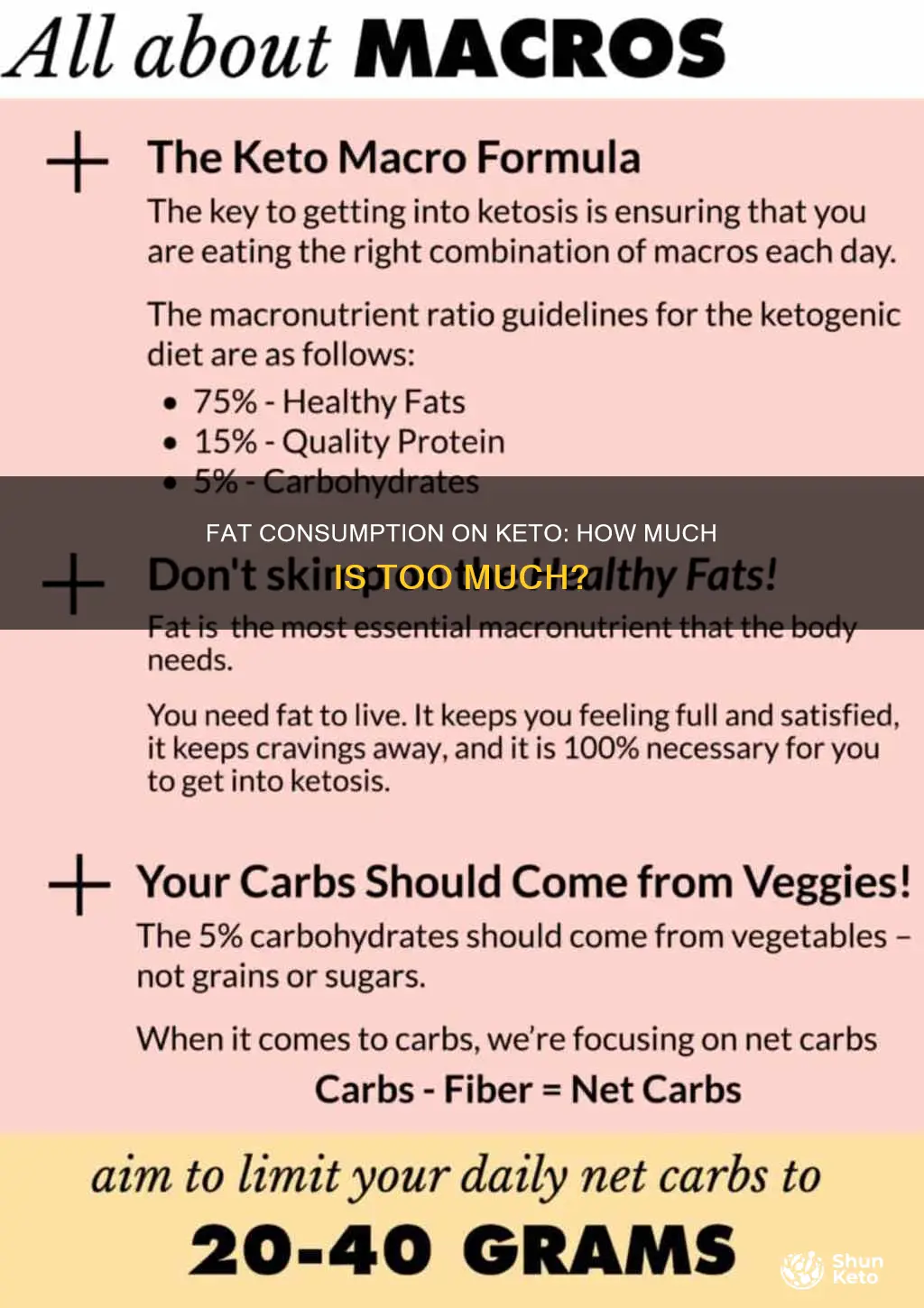 can u eat too much fat on keto