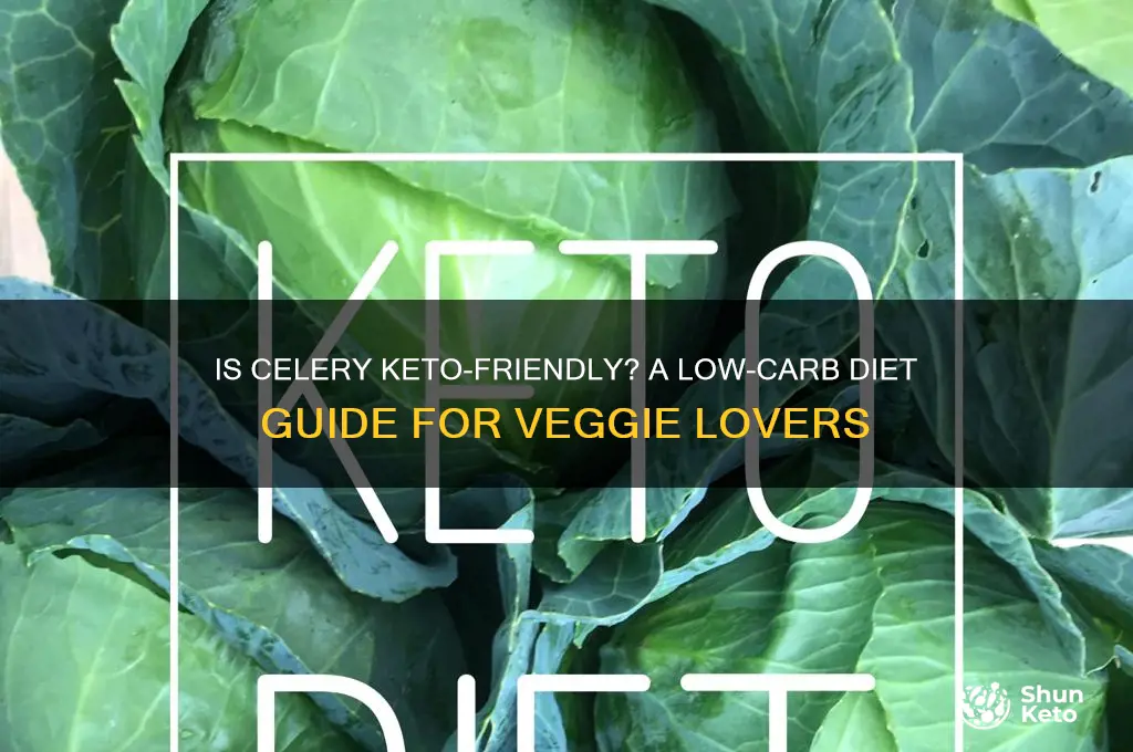can u have celery on keto diet