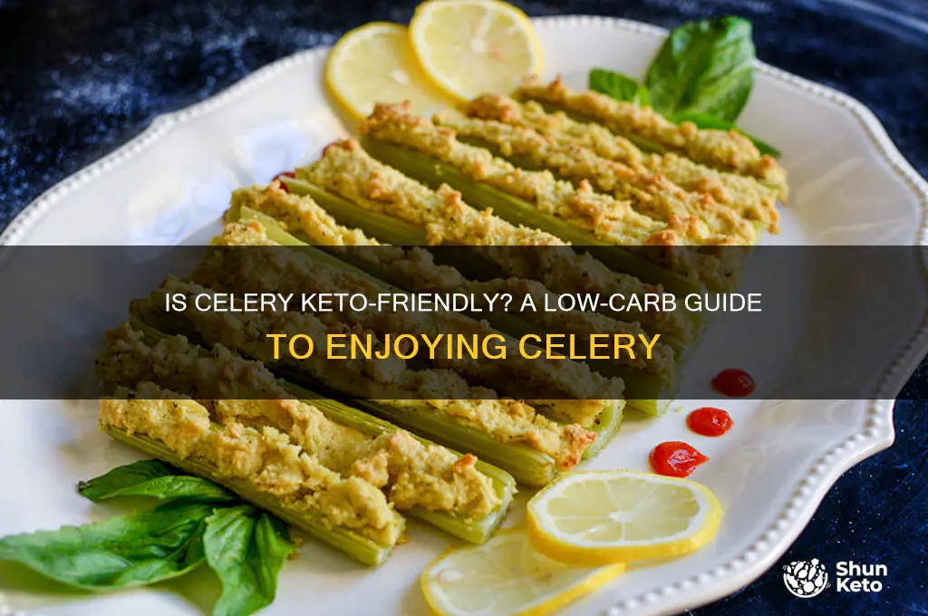 can u have celery on keto