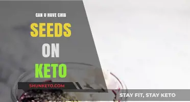 Chia Seeds on Keto: Are They a Low-Carb Friendly Superfood?