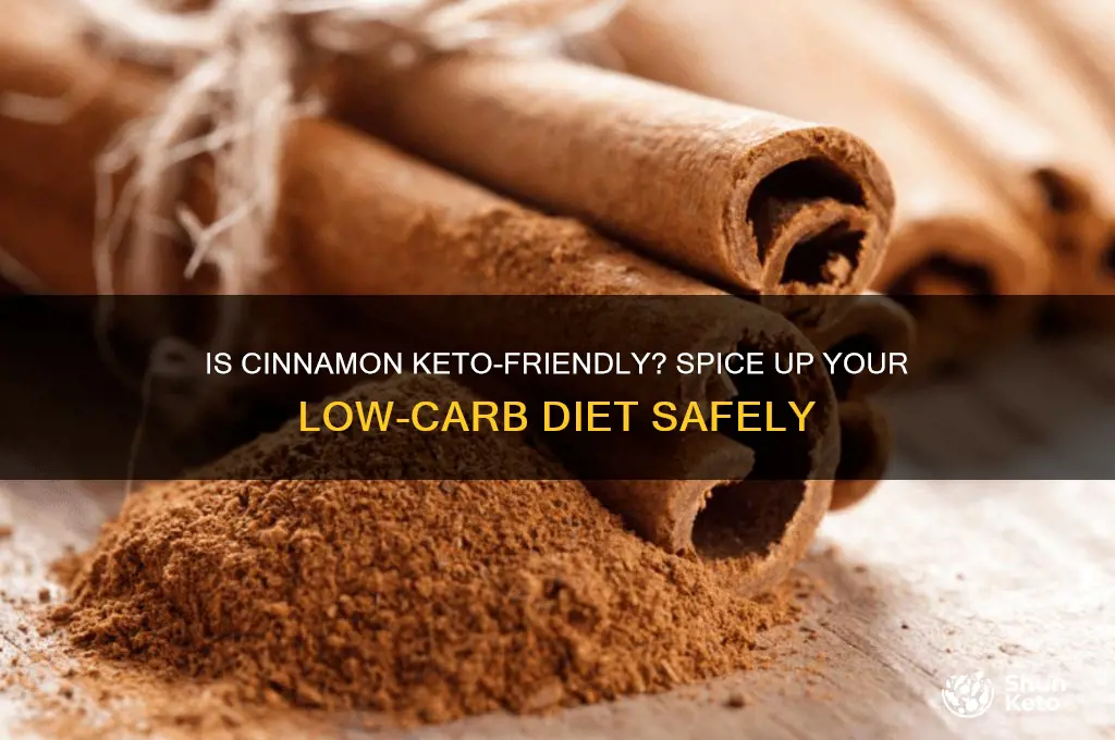 can u have cinnamon on keto diet