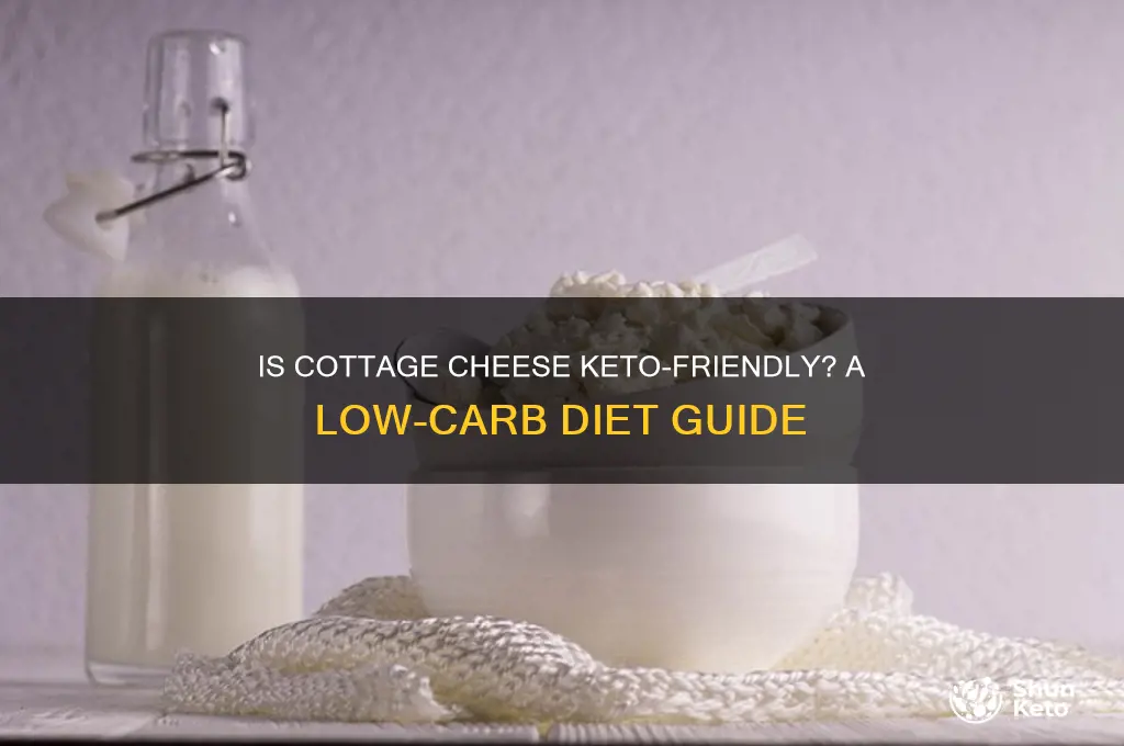 can u have cottage cheese on keto