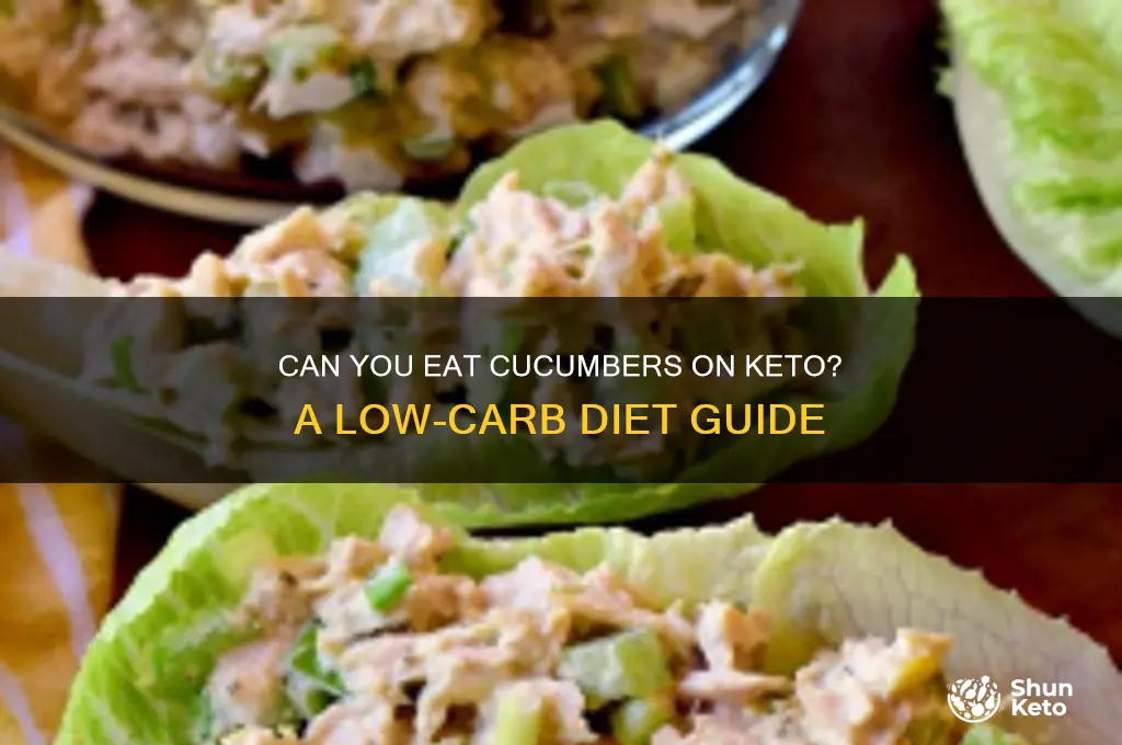 can u have cucumbers on keto diet