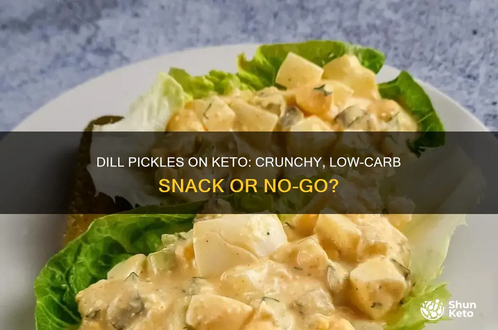 can u have dill pickles on keto diet