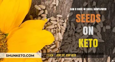 Keto-Friendly Snacking: Are In-Shell Sunflower Seeds Allowed?