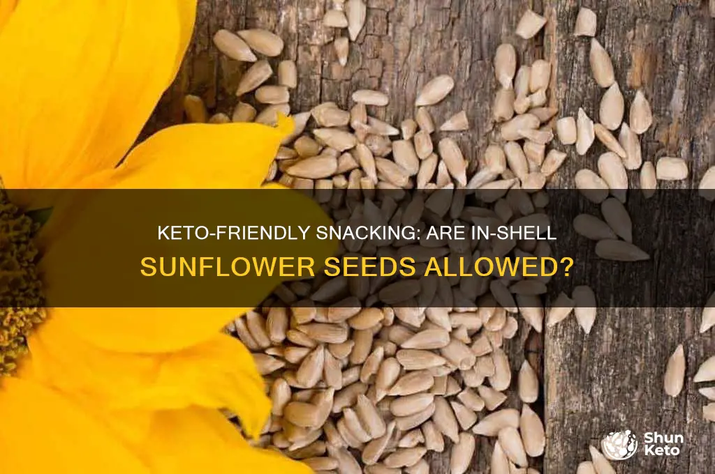 can u have in shell sunflower seeds on keto