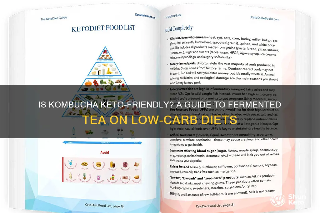 can u have kombucha on keto