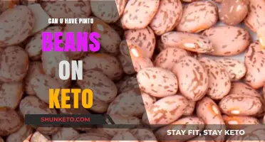Pinto Beans on Keto: Are They Keto-Friendly or Off-Limits?