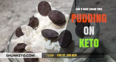 Sugar-Free Pudding on Keto: A Delicious Low-Carb Dessert Option?