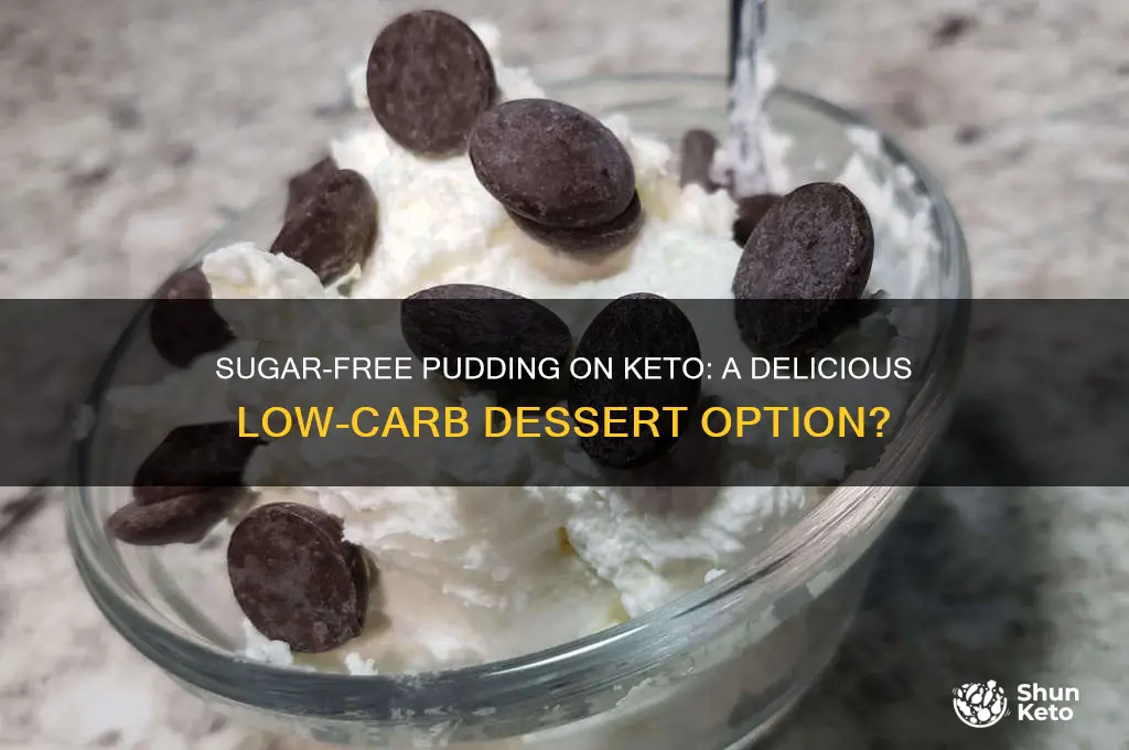 can u have sugar free pudding on keto