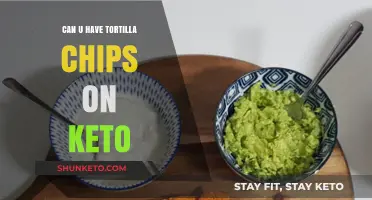Keto-Friendly Tortilla Chips: Crunchy Snack Options for Low-Carb Diets
