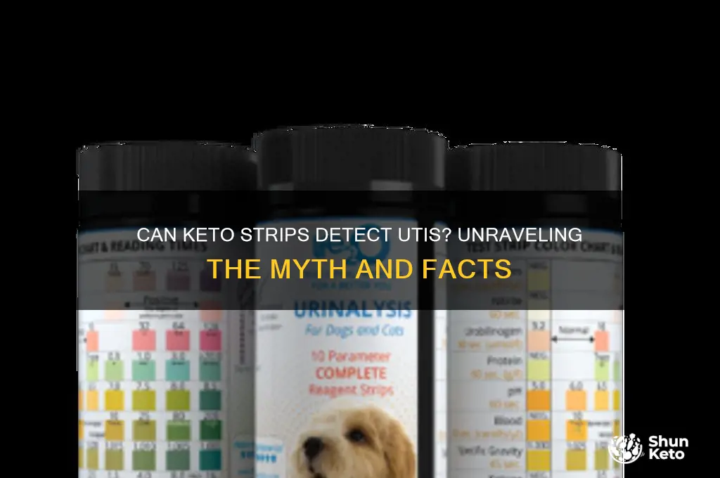 can u test uti with keto stix