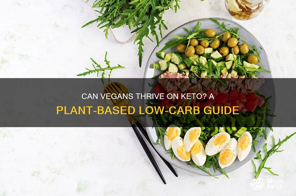 can vegan do keto