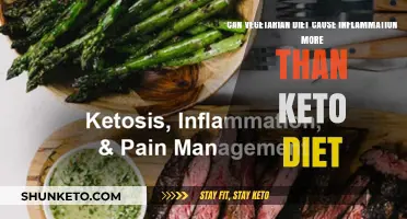 Vegetarian vs. Keto: Which Diet Triggers More Inflammation?