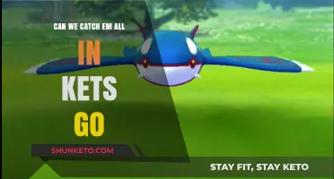 Mastering Pokémon GO: Strategies to Catch 'Em All in the Wild