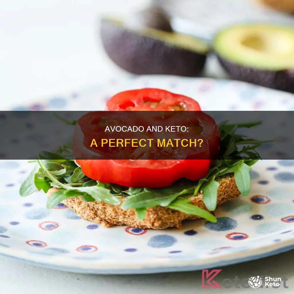 can we eat avocado in keto diet
