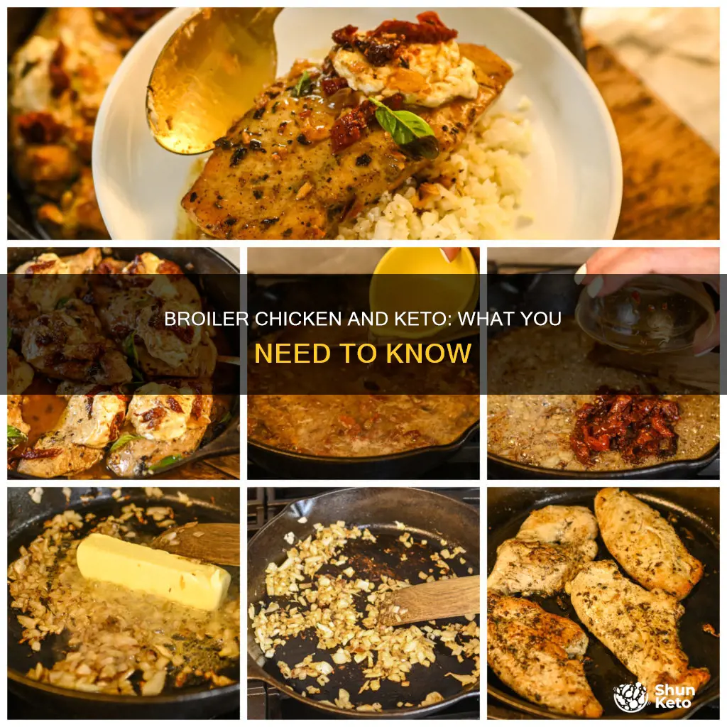 can we eat broiler chicken in keto diet