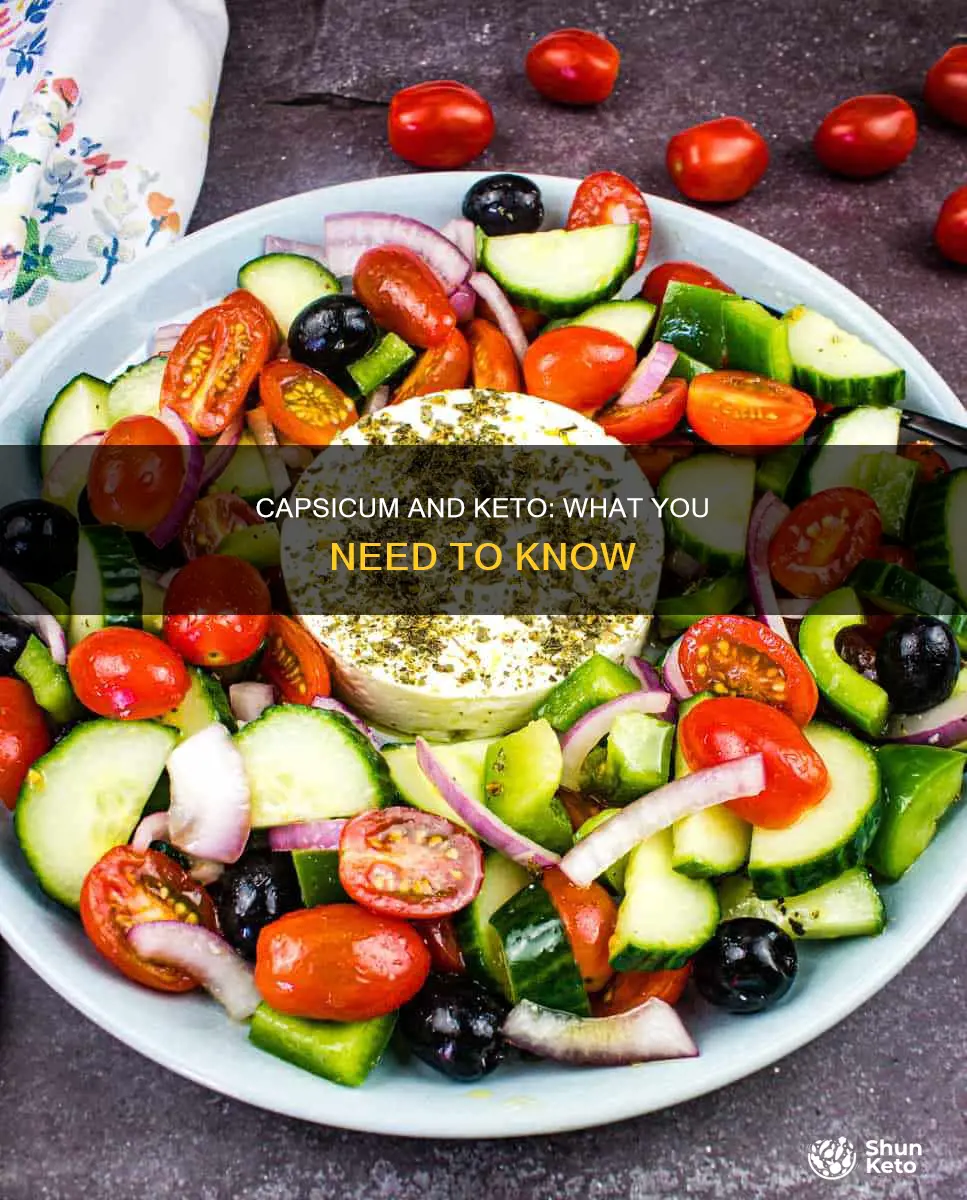 can we eat capsicum in keto diet