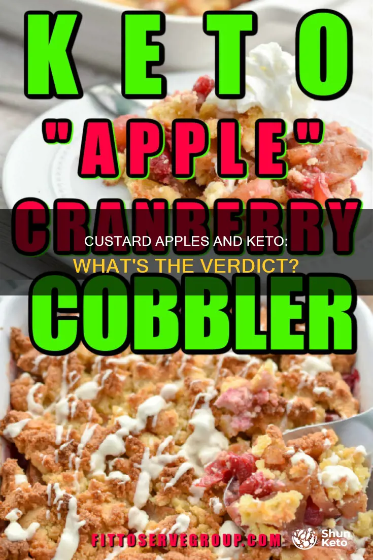 can we eat custard apple in keto diet
