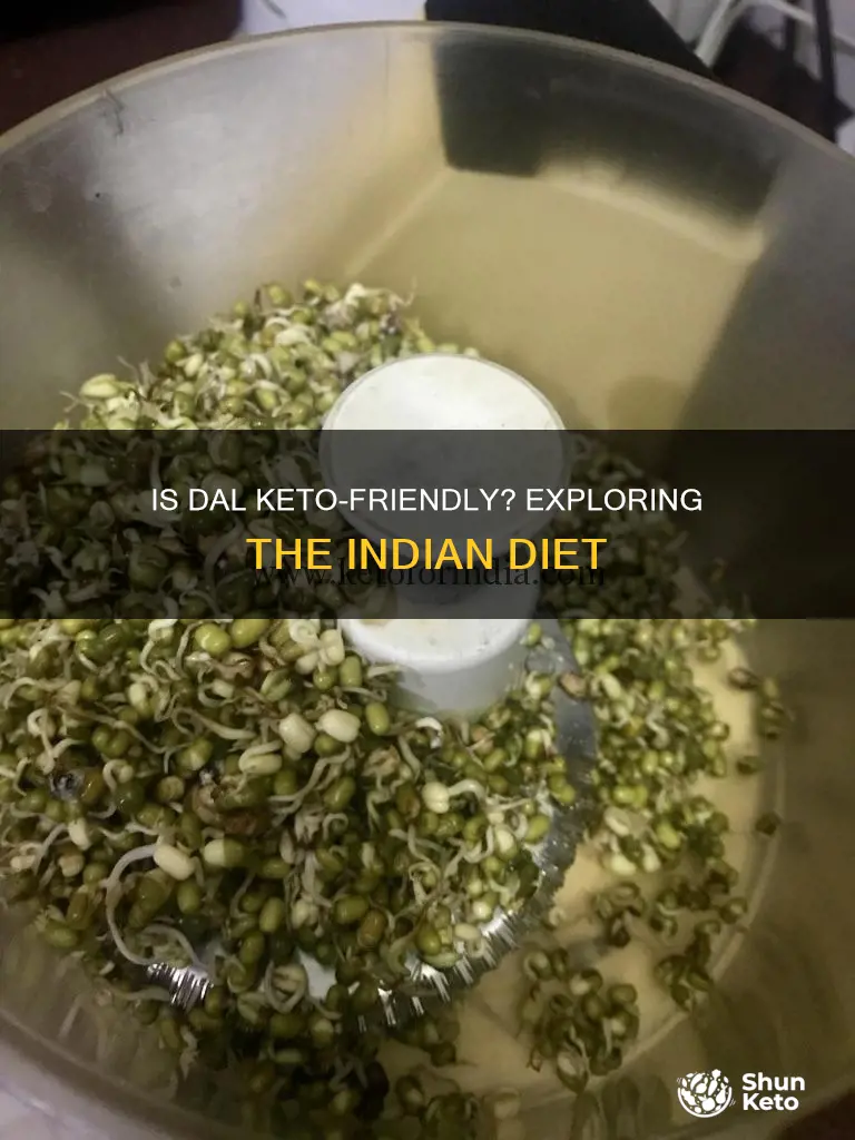 can we eat dal in keto diet