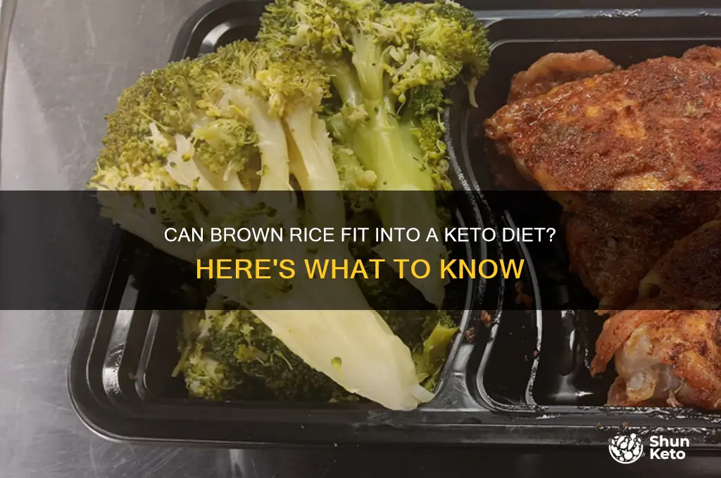 can we have brown rice in keto diet