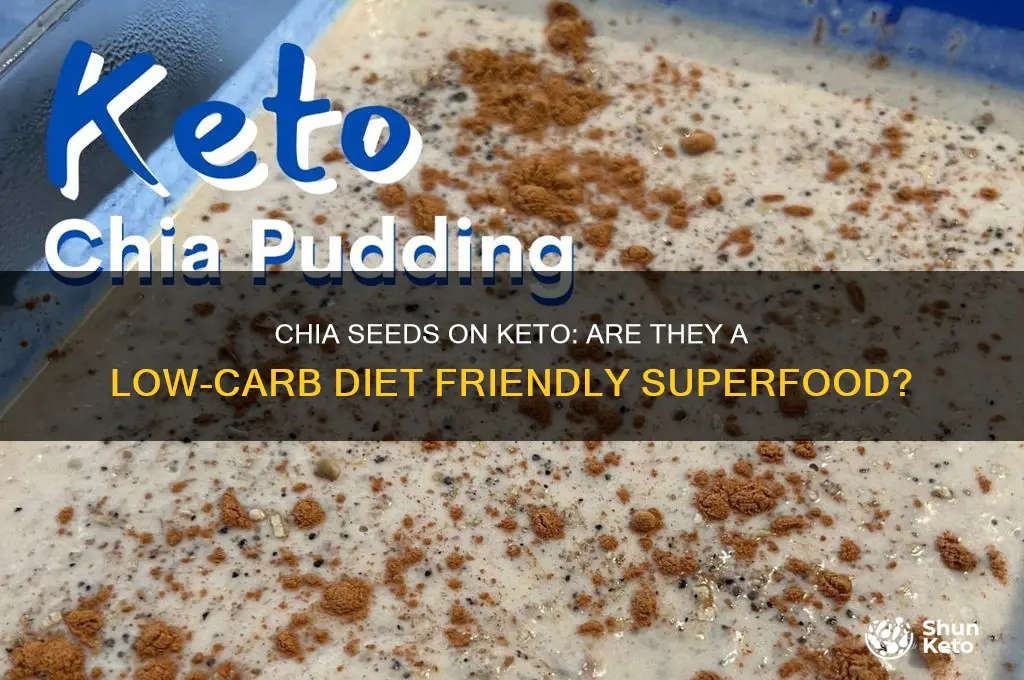 can we have chia seeds in keto diet