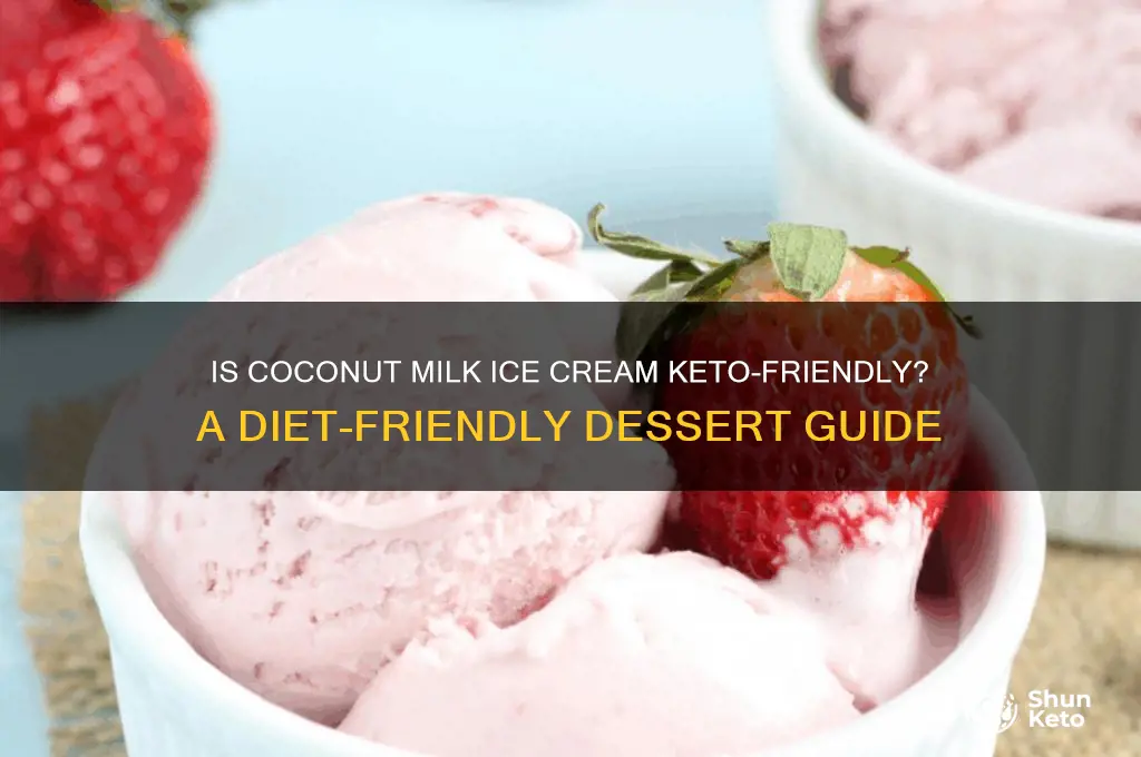 can we have coconut milk icecream on the keto diet
