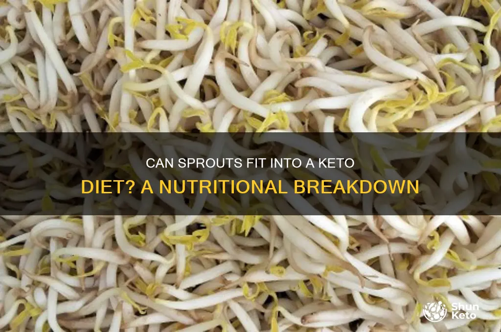 can we have sprouts in keto diet