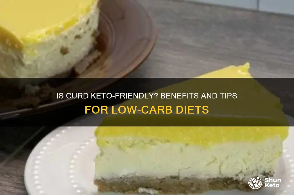 can we use curd in keto diet