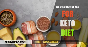 Wheatgrass and Keto: A Low-Carb Superfood for Your Diet?
