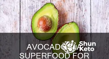 can yo eat avacodos in the keto deit