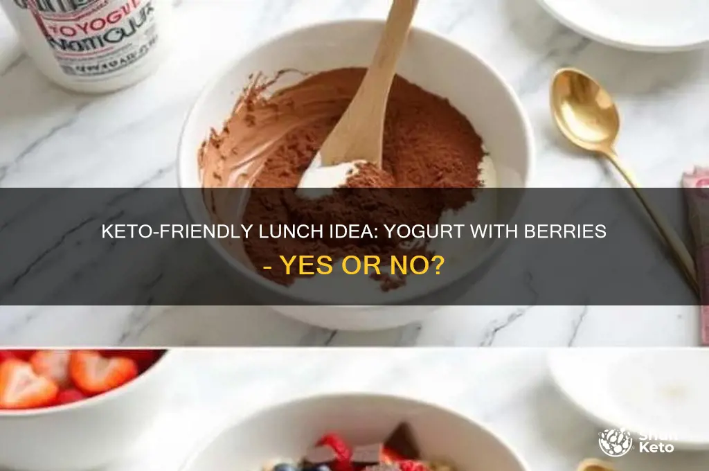 can yogurt with berries be a keto lunch