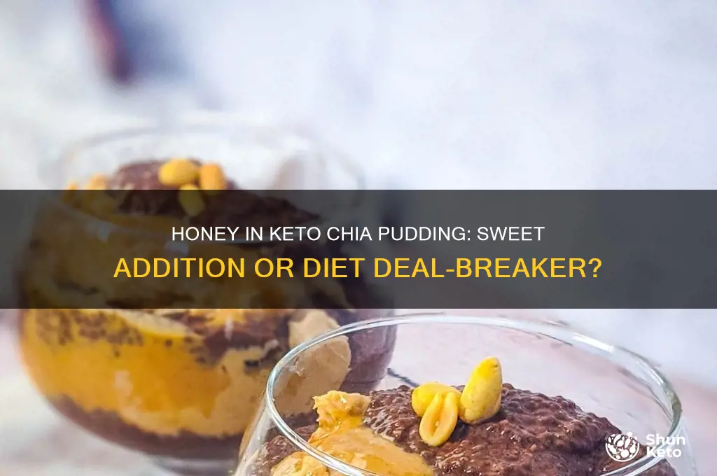 can you add honey to a keto chia pudding