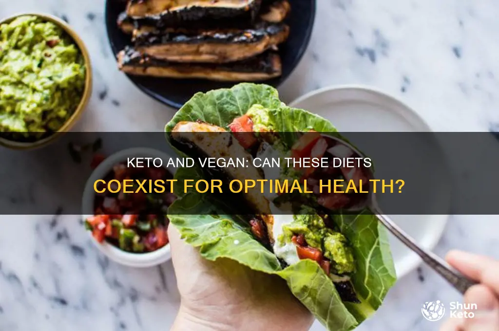 can you be keto and vegan