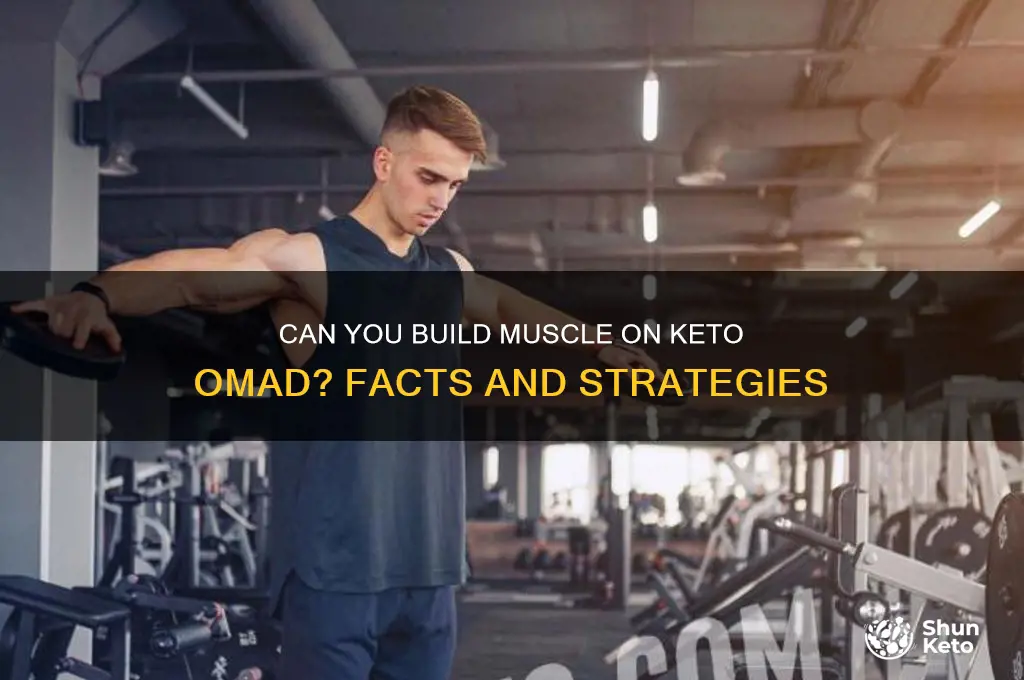 can you build muscle on keto omad