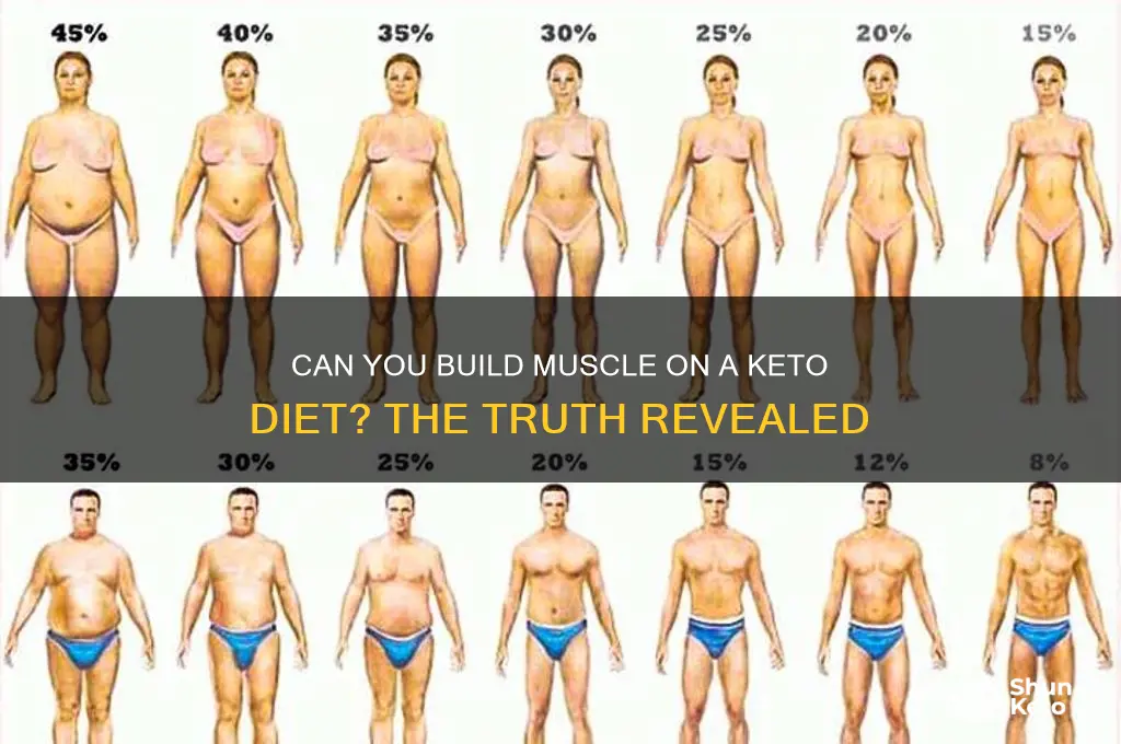 can you bulk up on keto