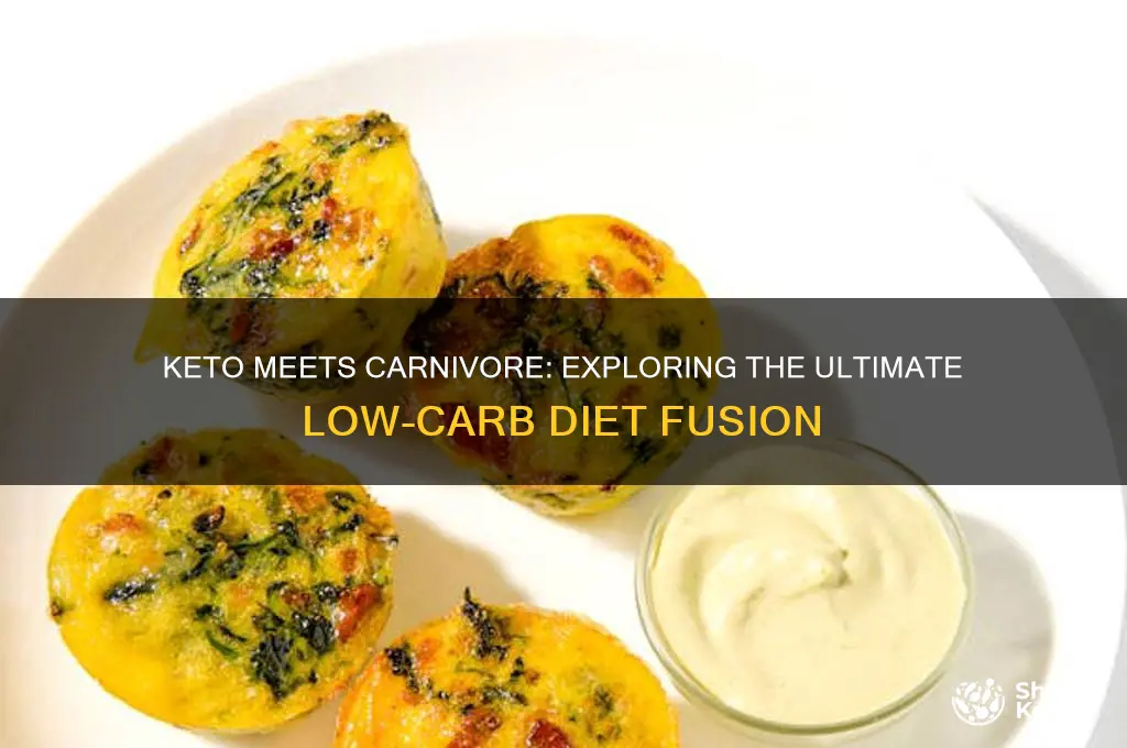 can you combine keto and carnivore diet