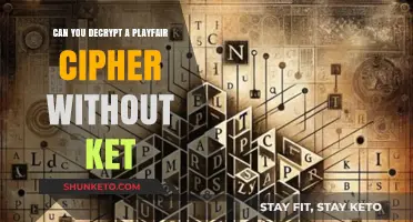 Decrypting Playfair Cipher Without Key: Challenges and Potential Solutions